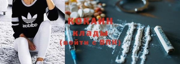 крисы Дмитров