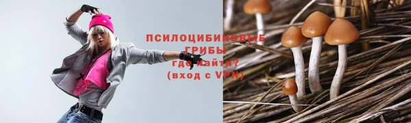 марки nbome Дмитриев