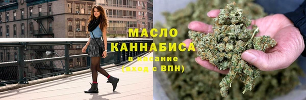 крисы Дмитров
