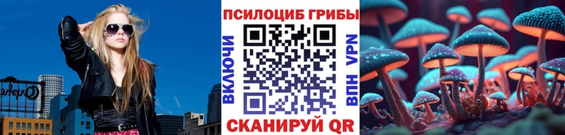 Псилоцибиновые грибы Cubensis  Купить закладки  Калач 
